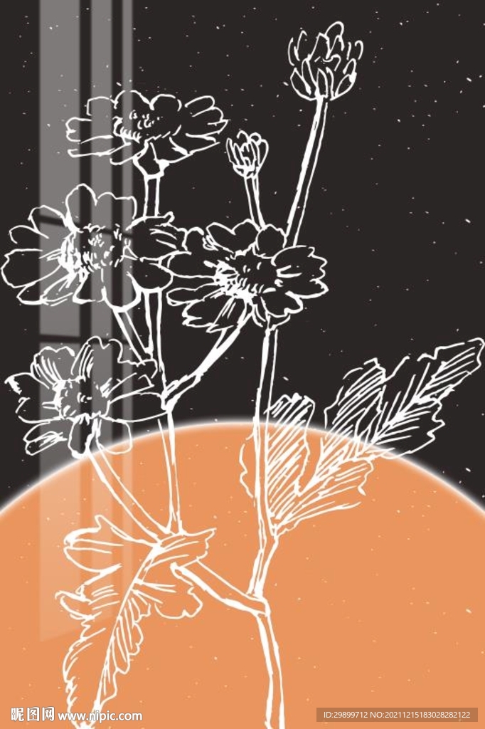 小白菊