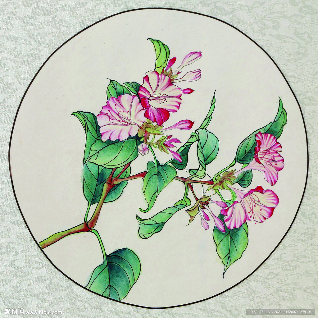 国花花卉