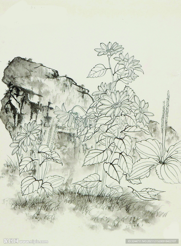 线描花卉石头