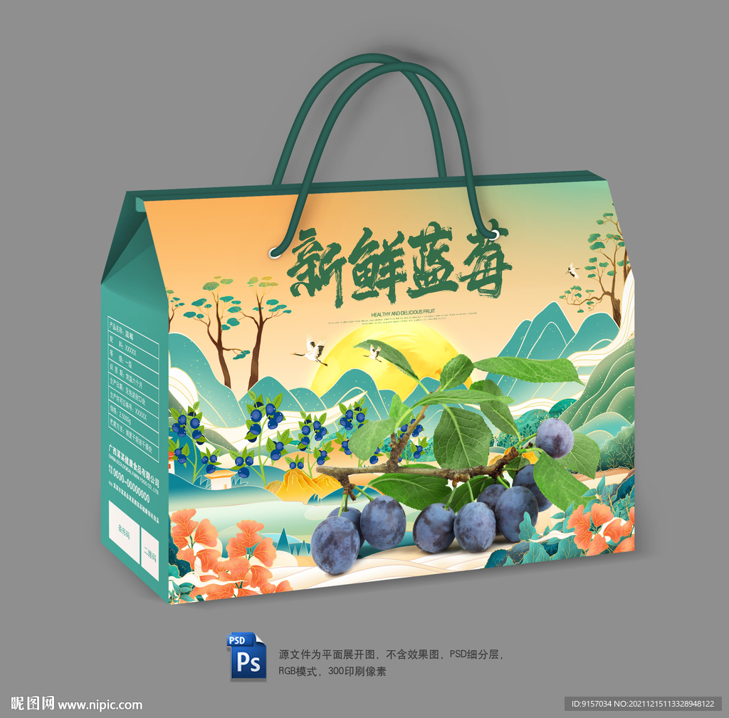蓝莓包装