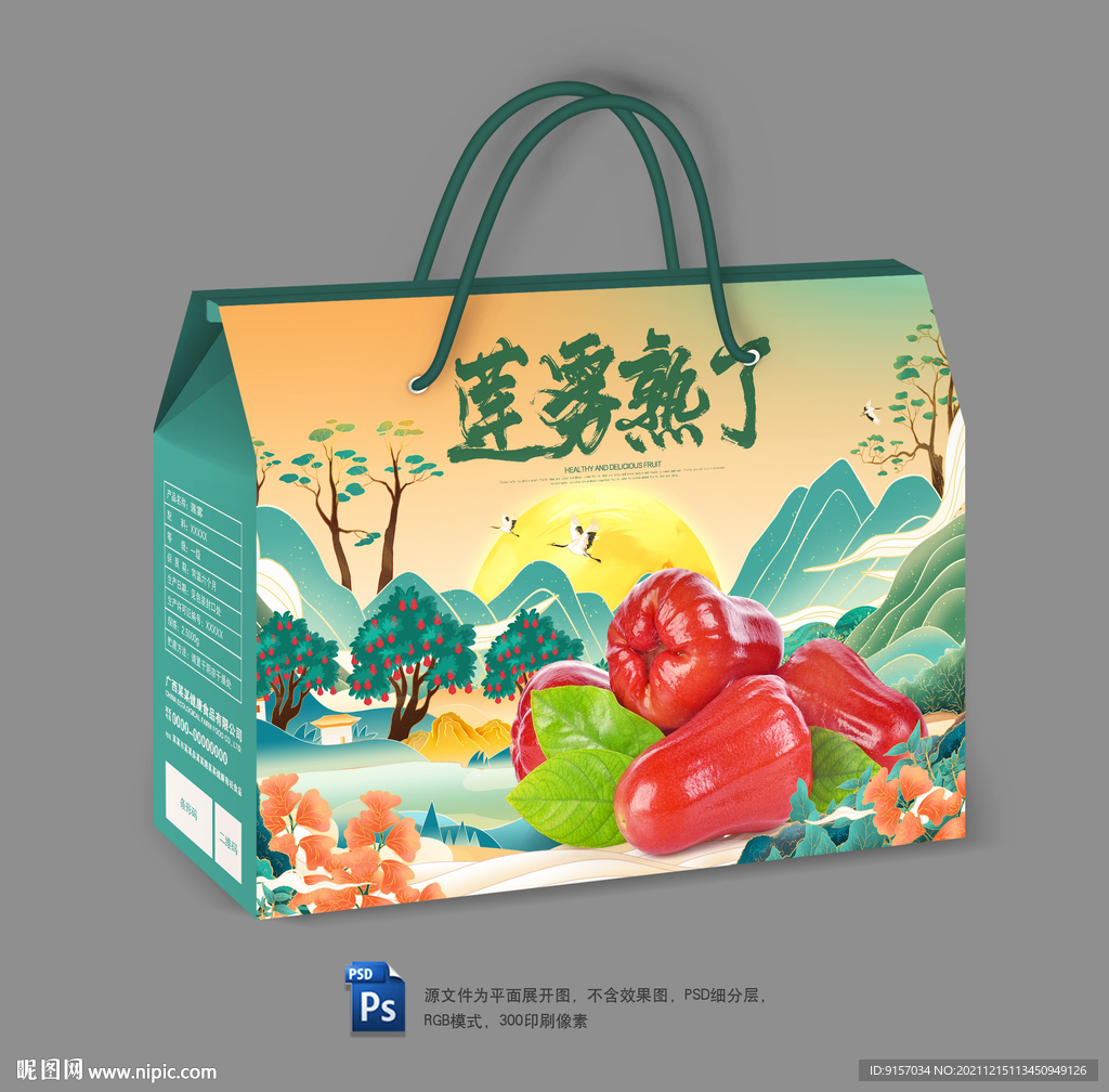 莲雾包装