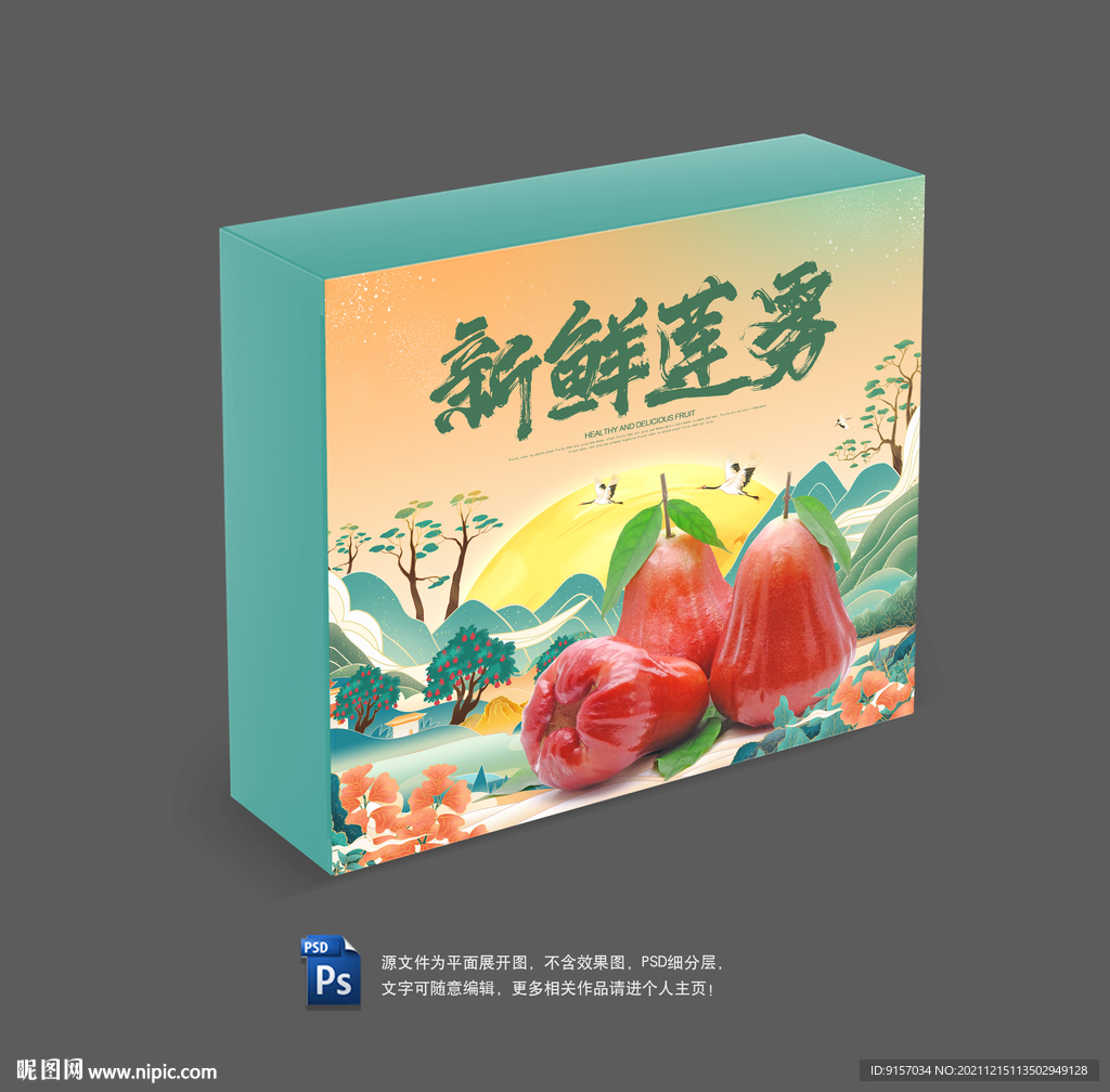 莲雾包装