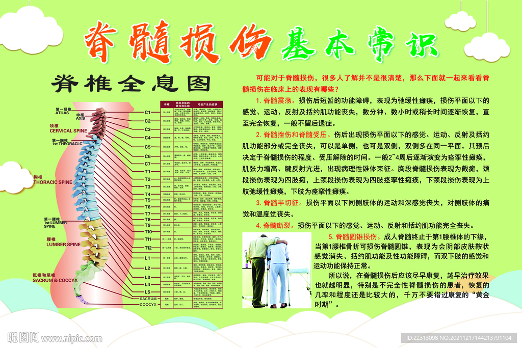 脊髓损伤基本常识