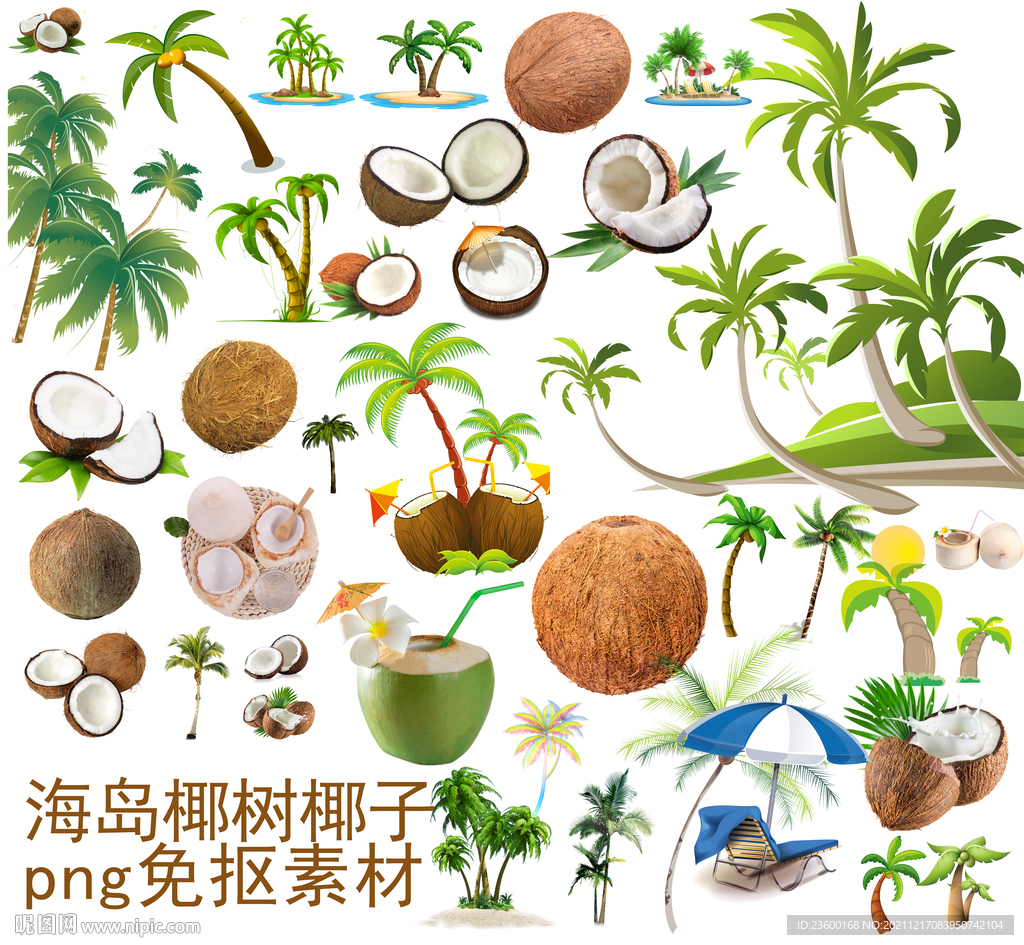 椰树椰子