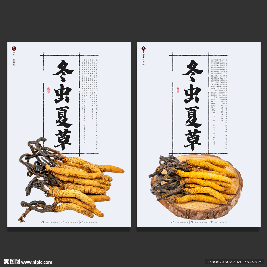 冬虫夏草