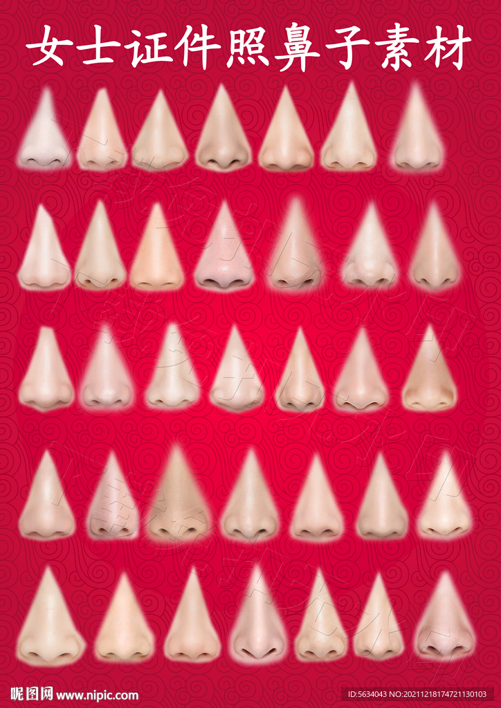 女士证件照鼻梁鼻子鼻翼五官素材