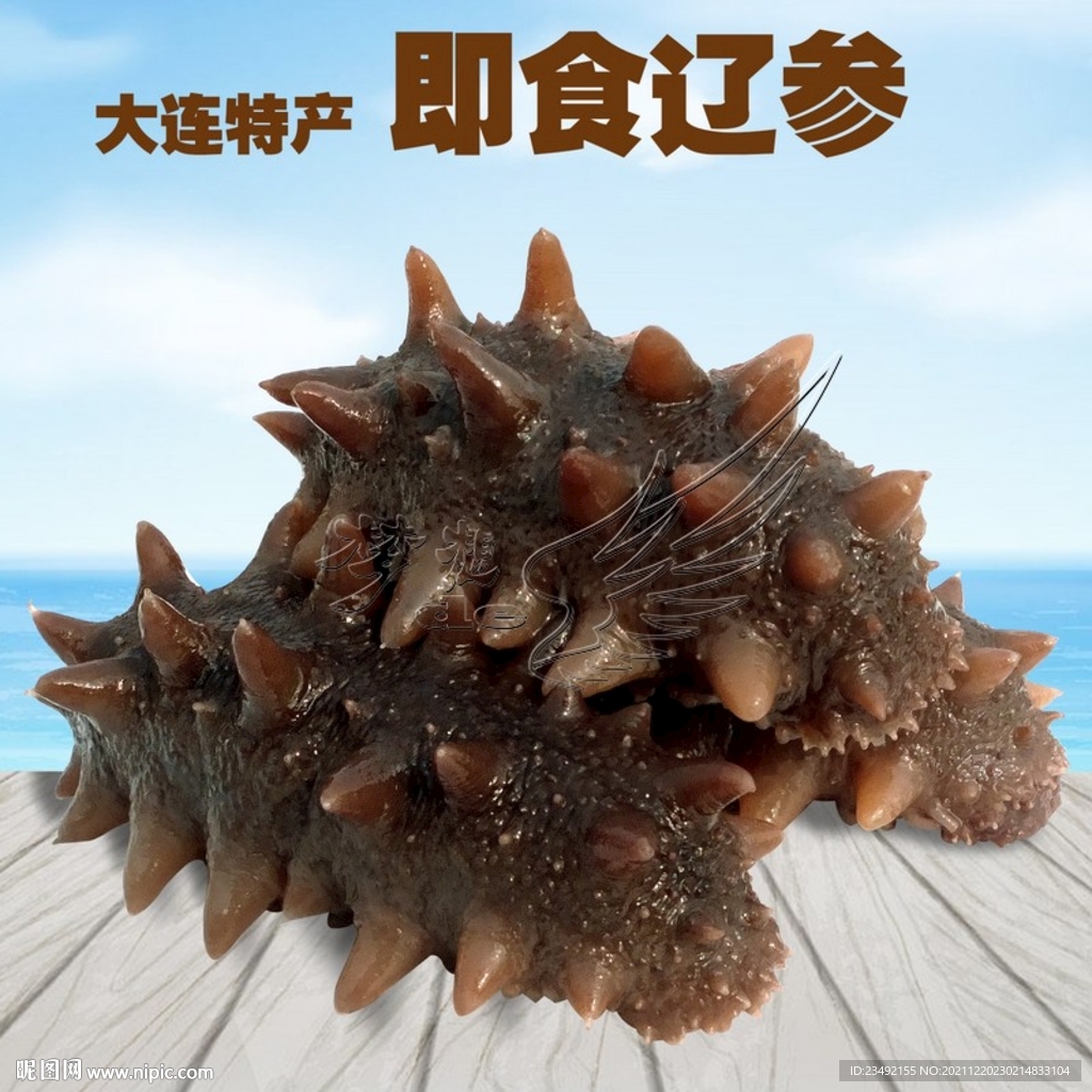 海参辽参刺参即食