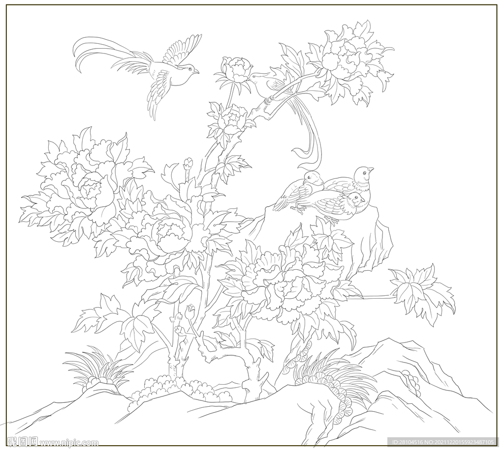 牡丹