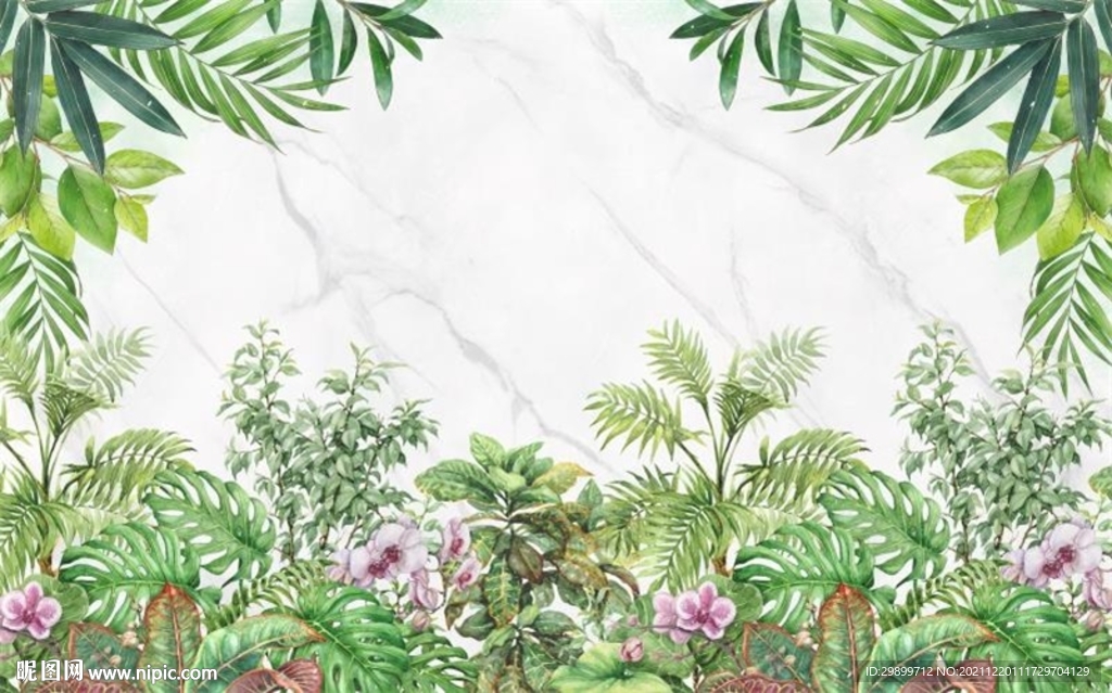 热带植物背景