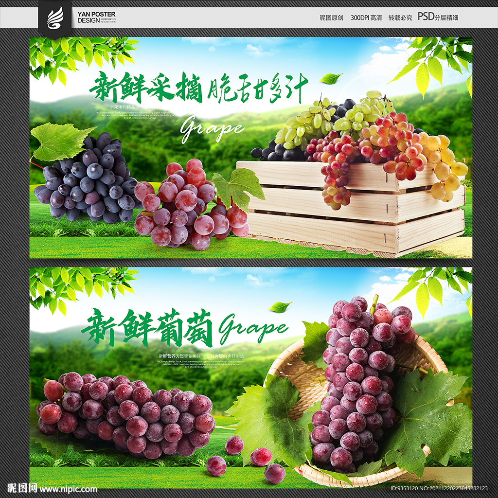 葡萄