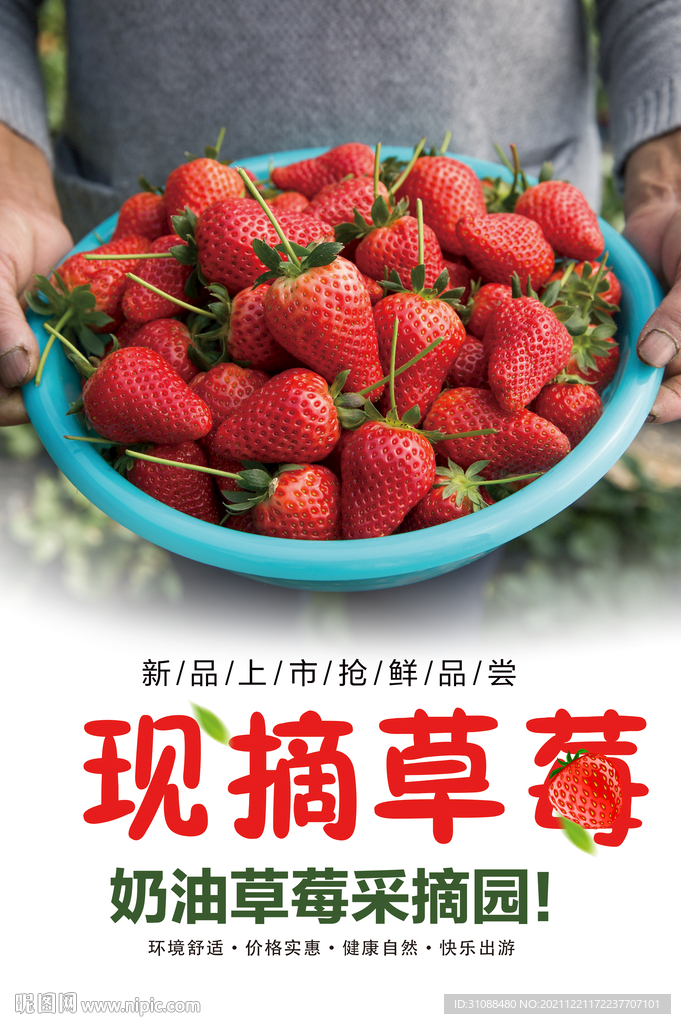 现摘草莓海报