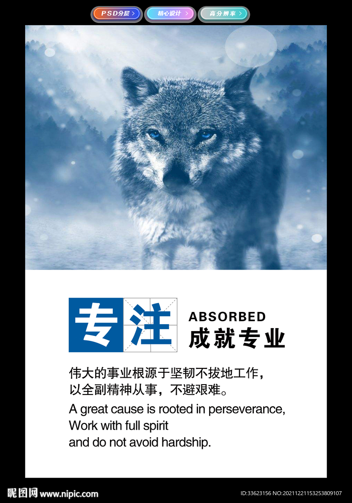 专注