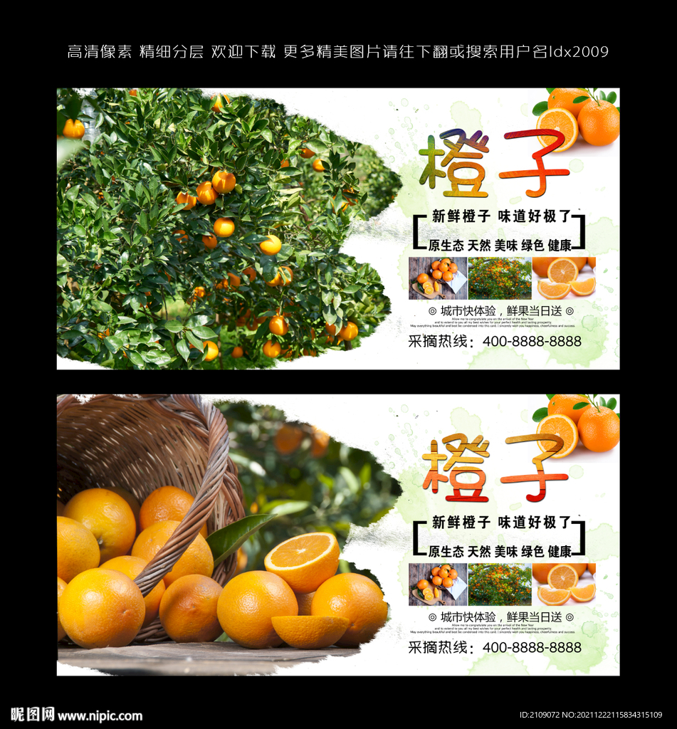 橙子 