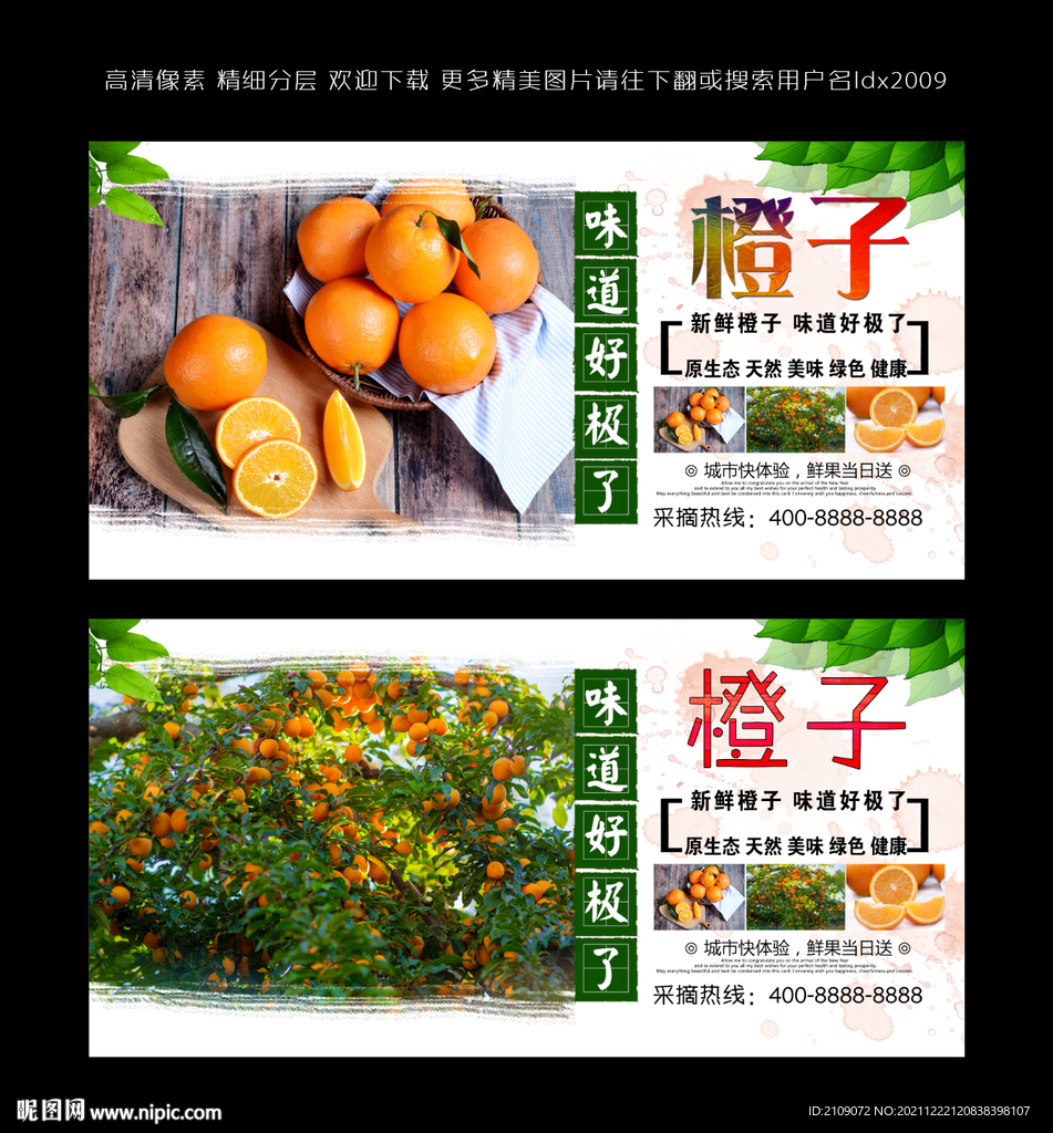 橙子  