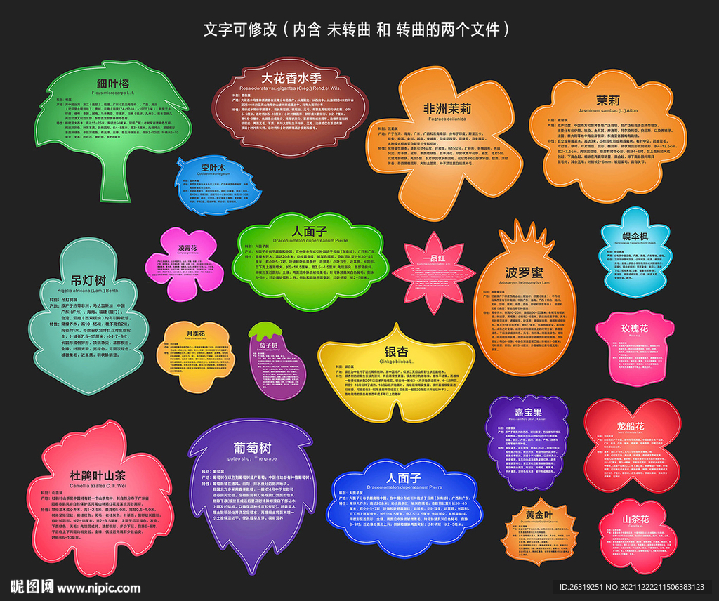 异形树名牌 树木名称牌