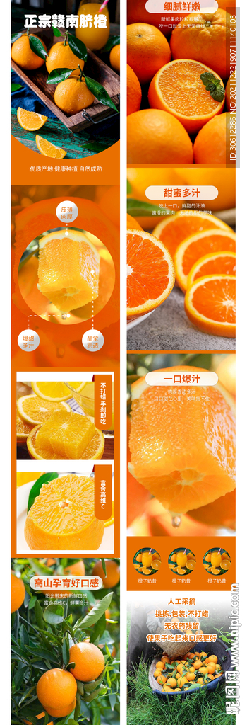 橙子详情图