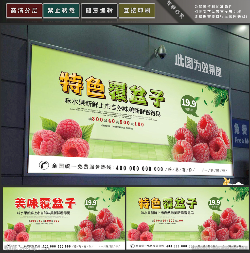 覆盆子