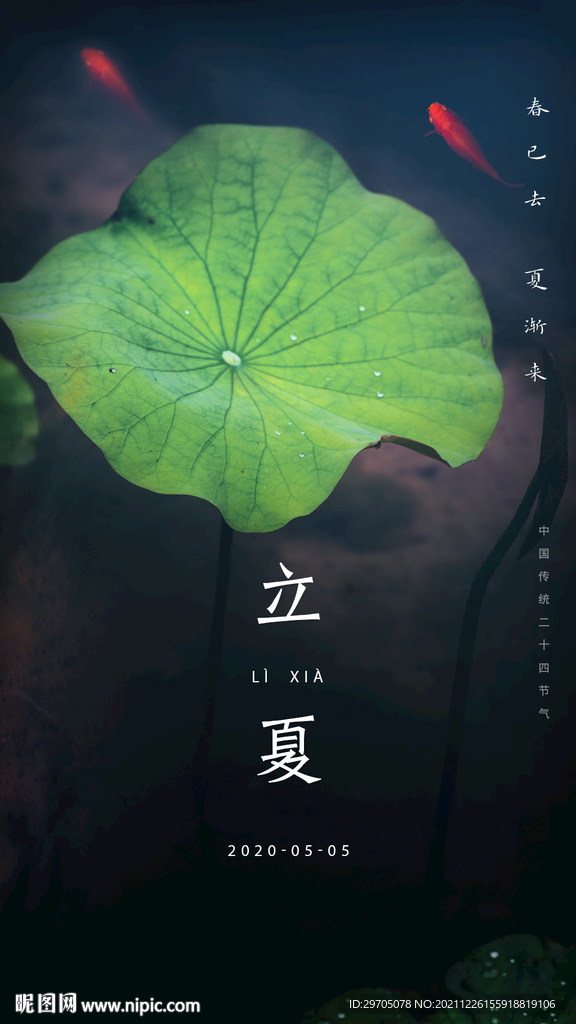 立夏海报