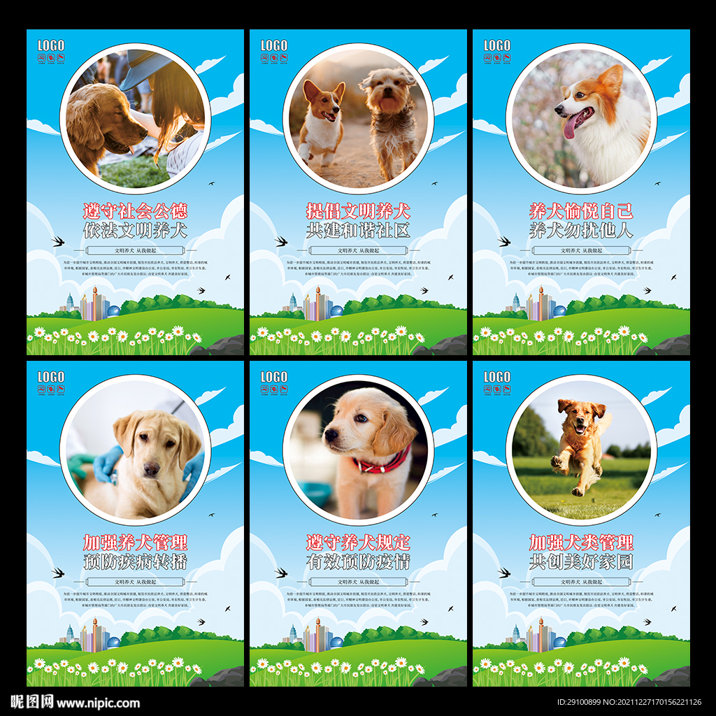 社区文明养犬