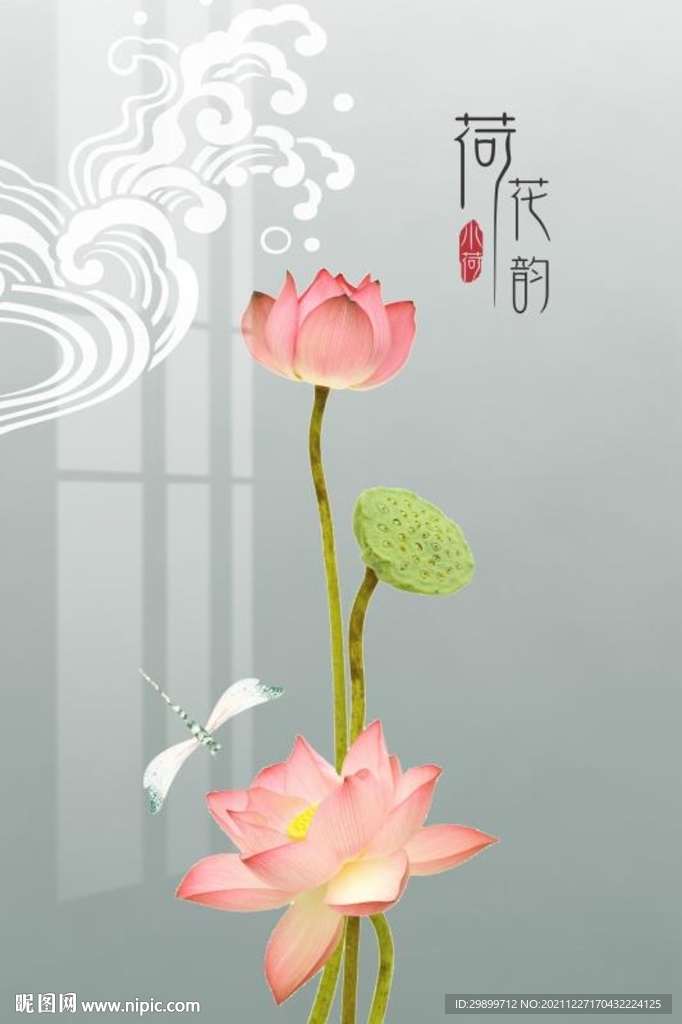 荷花韵