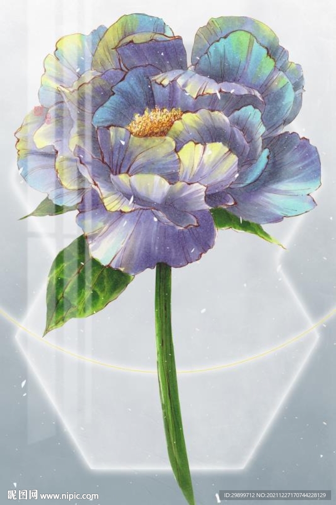 牡丹装饰画