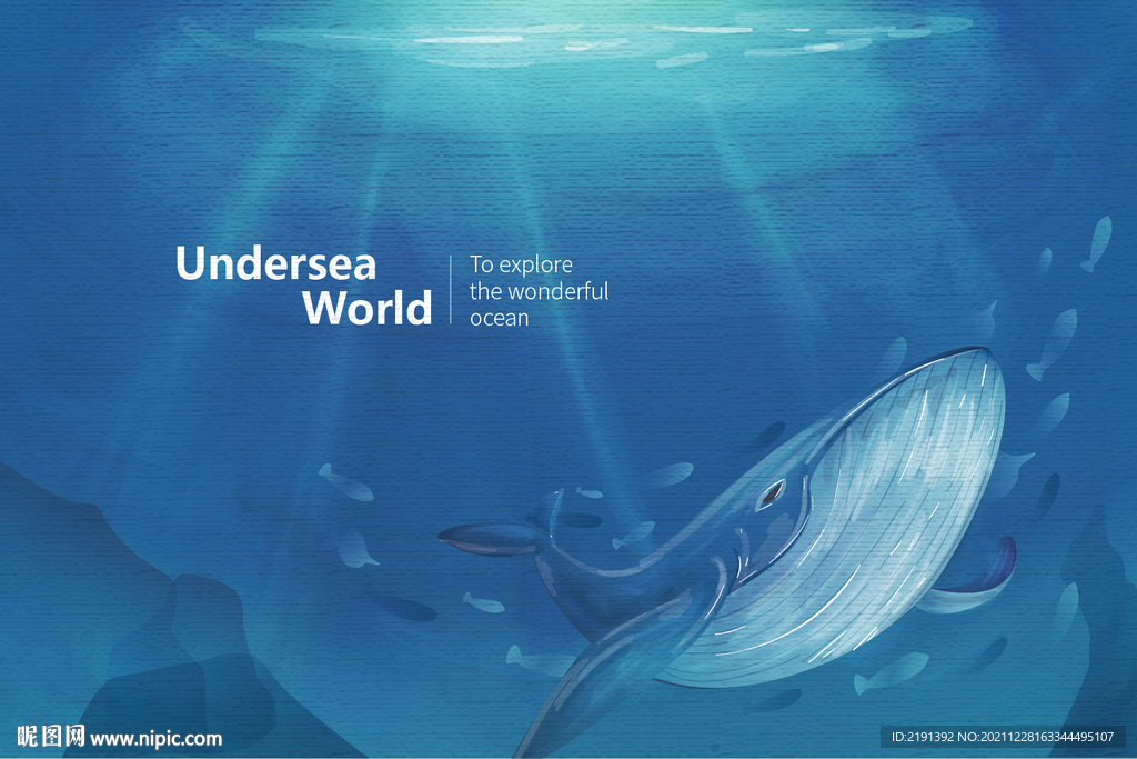 儿童房 海底世界 墙纸壁纸