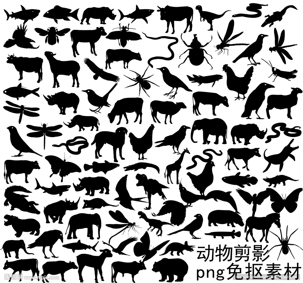 动物剪影
