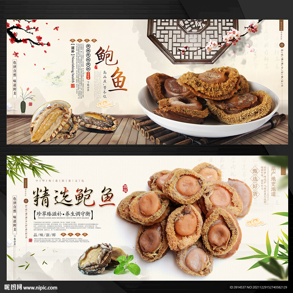 鲍鱼