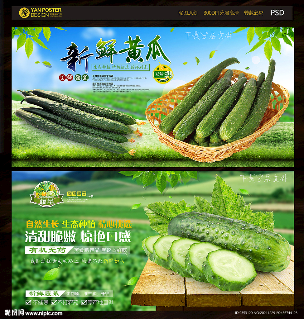 黄瓜