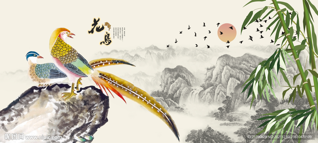 锦鸡