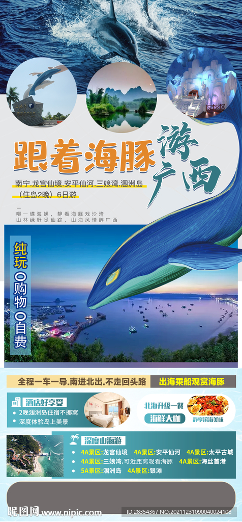 跟着海豚游广西