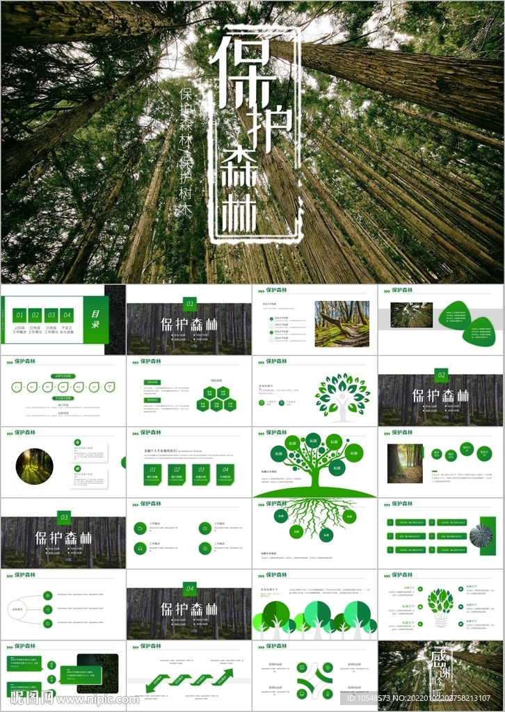 湿地环境保护生态森林业PPT