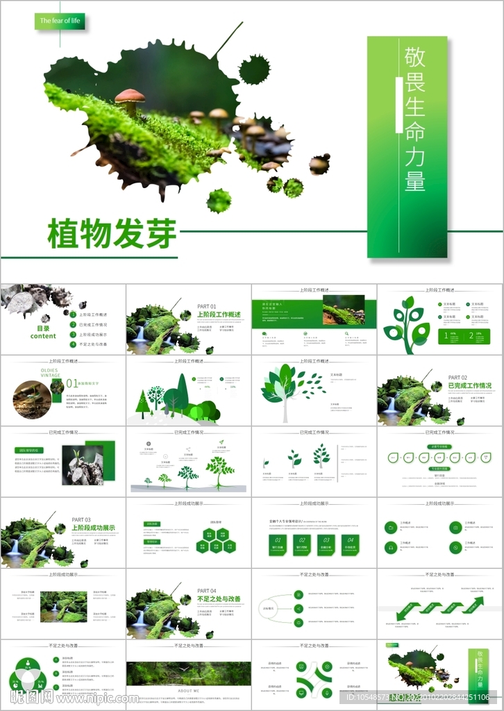 植物生长敬畏生命发芽PPT