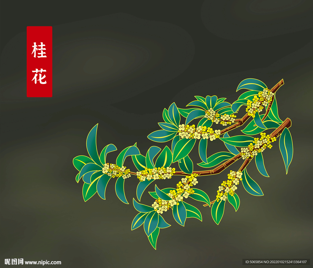 桂花