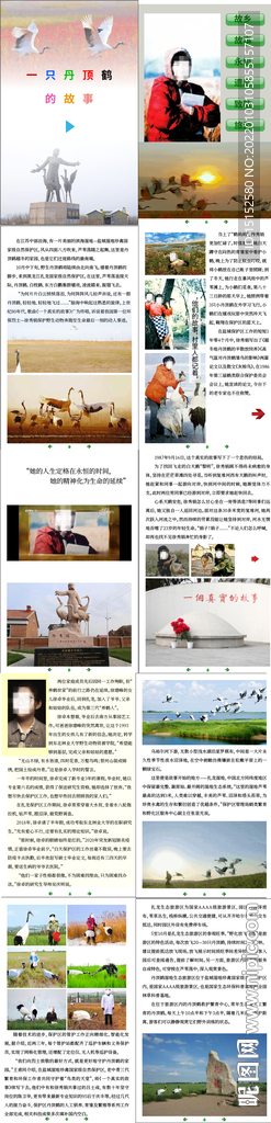 丹顶鹤交互电子书