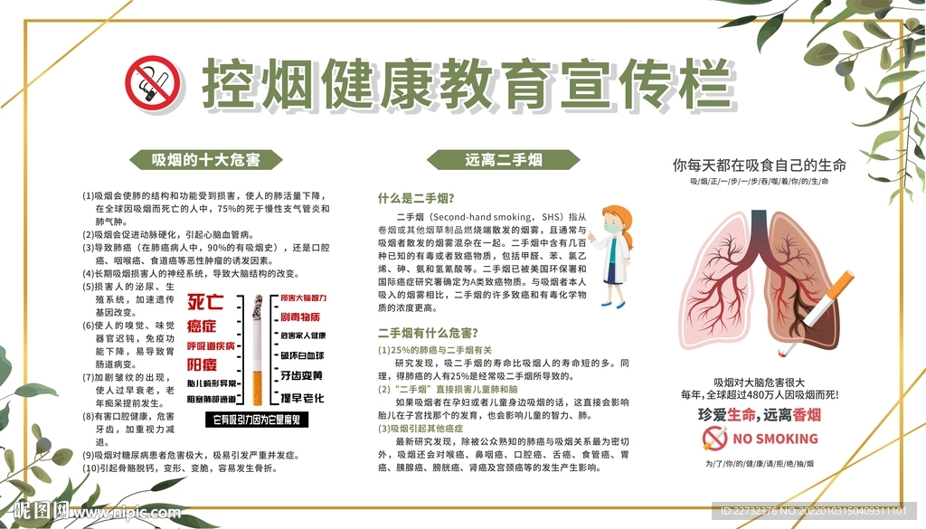 控烟健康教育宣传栏