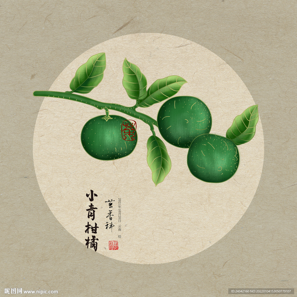小青柑