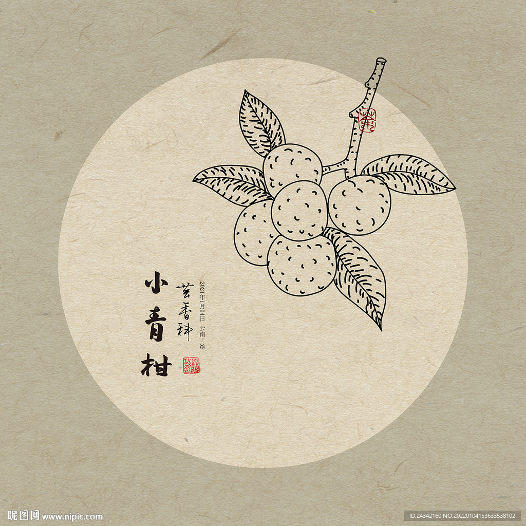 小青柑
