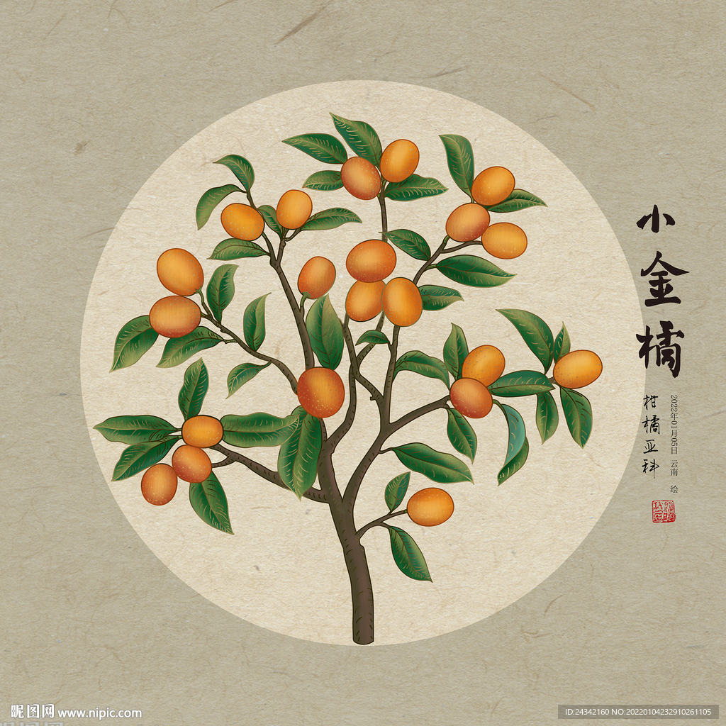 金橘