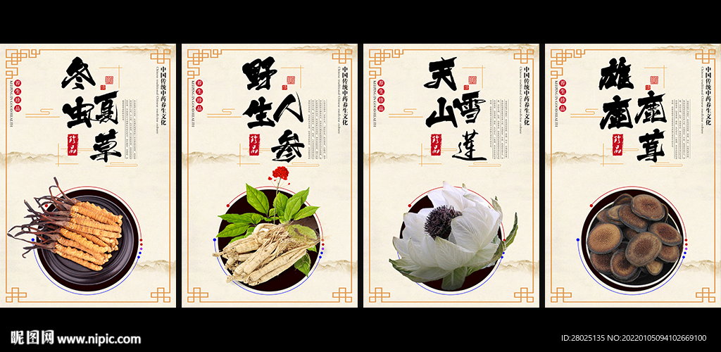 滋补中药