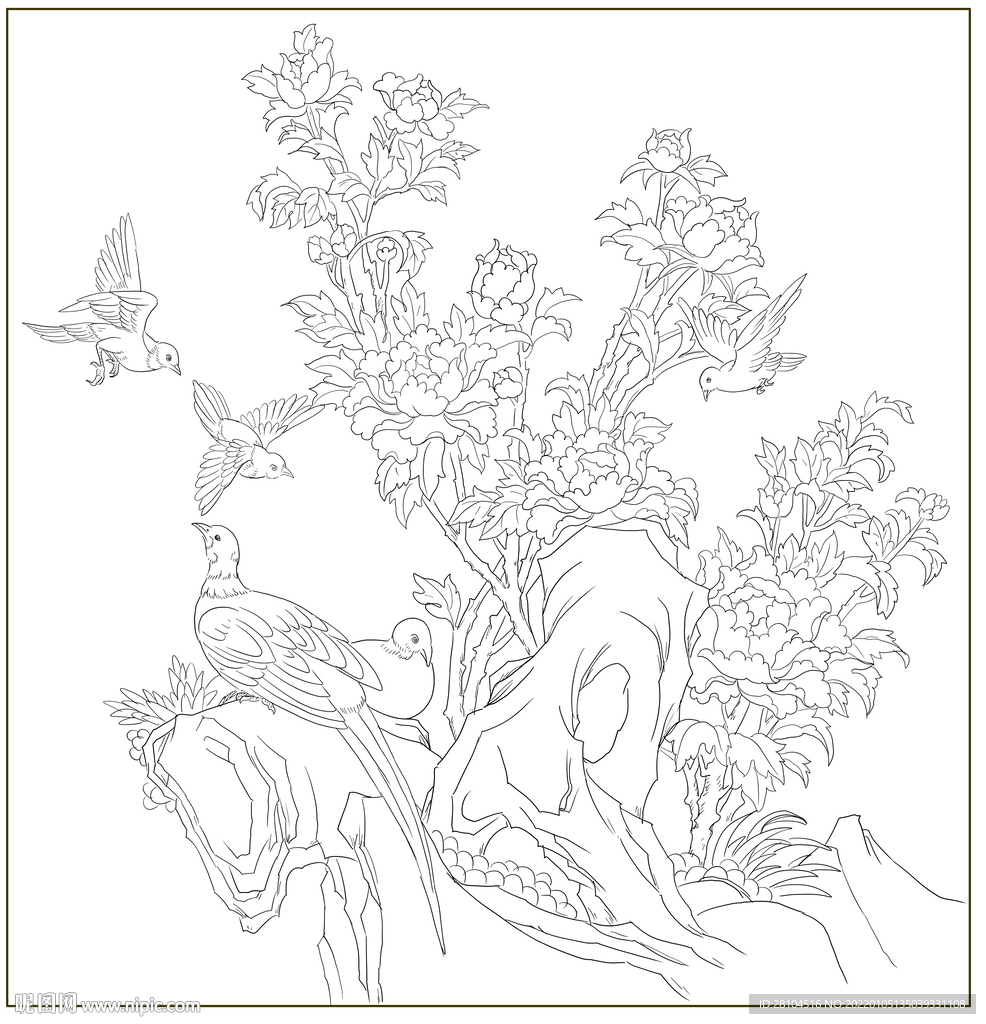 牡丹