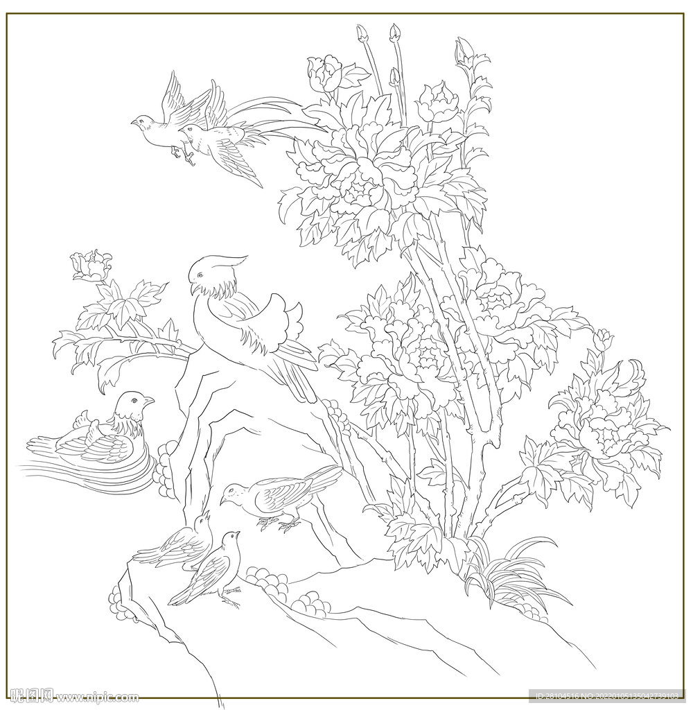 牡丹