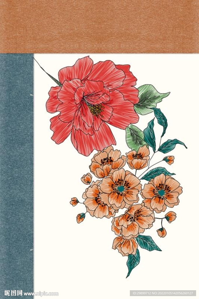 牡丹花