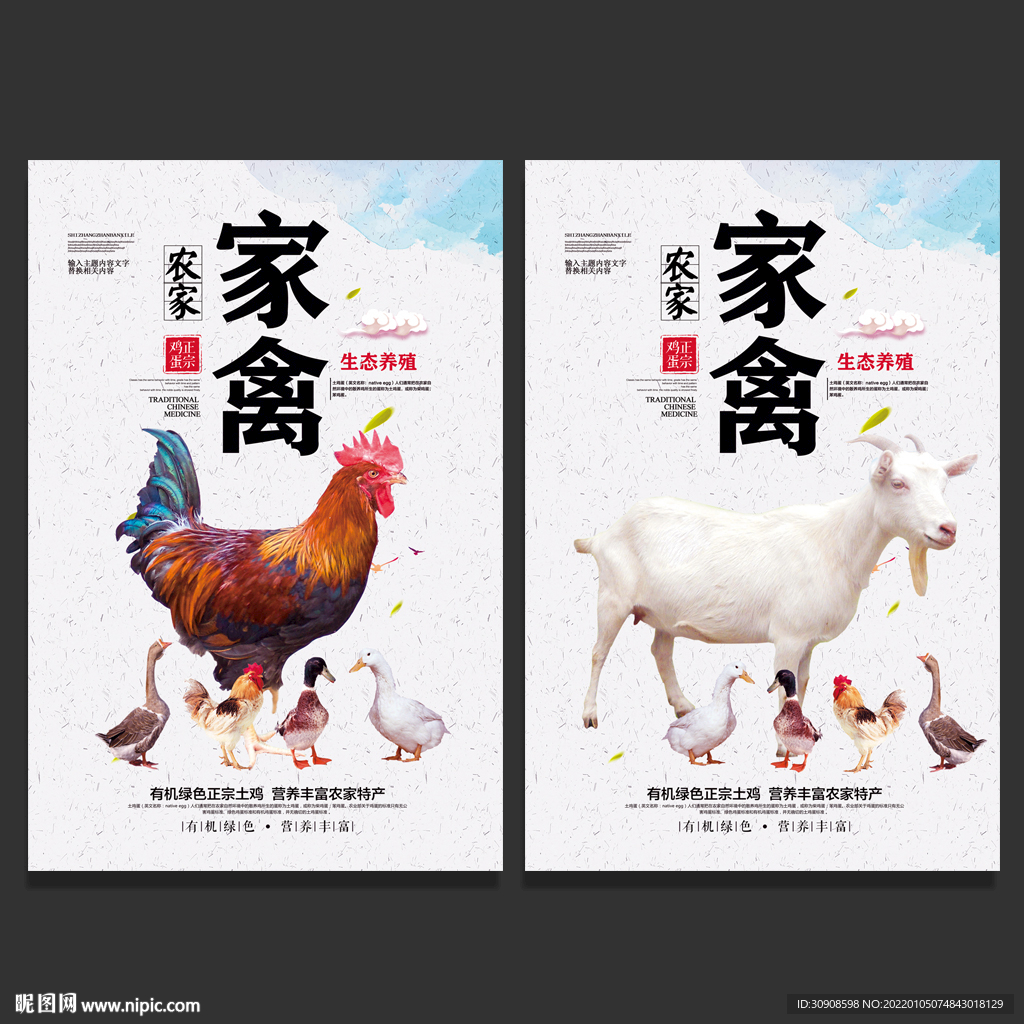 家禽