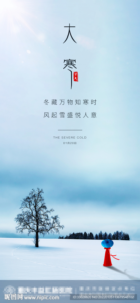 大寒节日海报