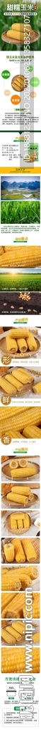 玉米淘宝商品详情页图片