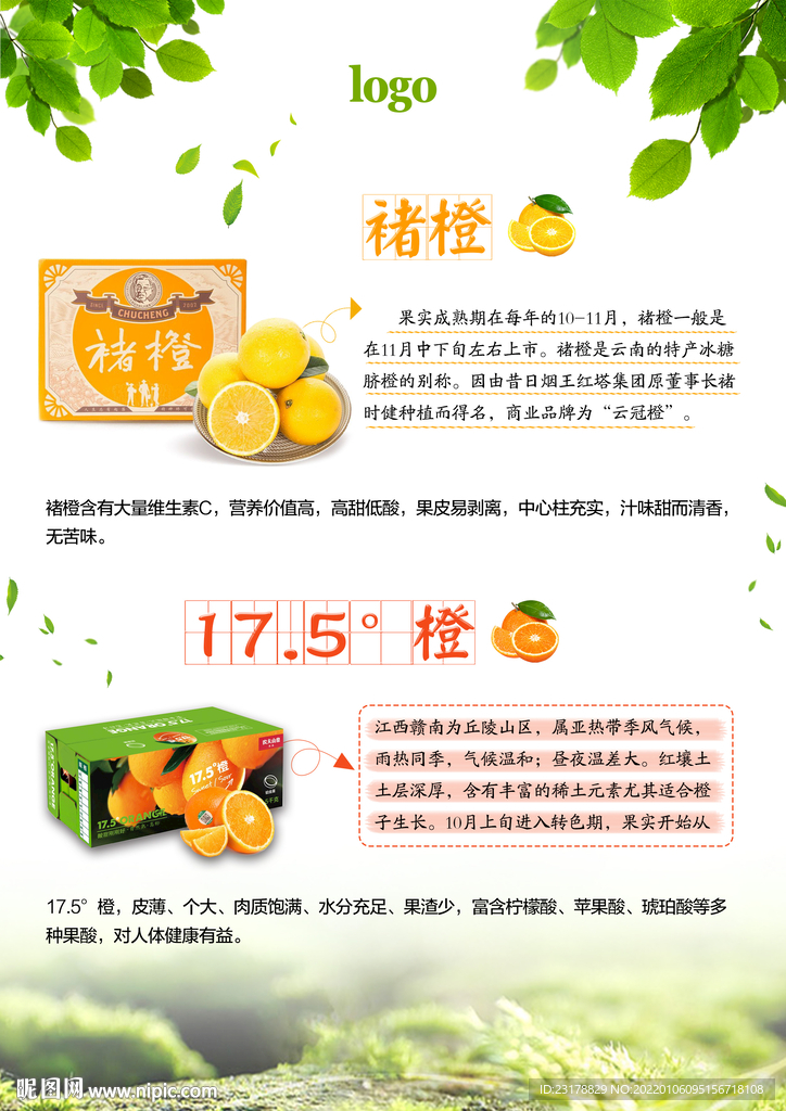 水果简介