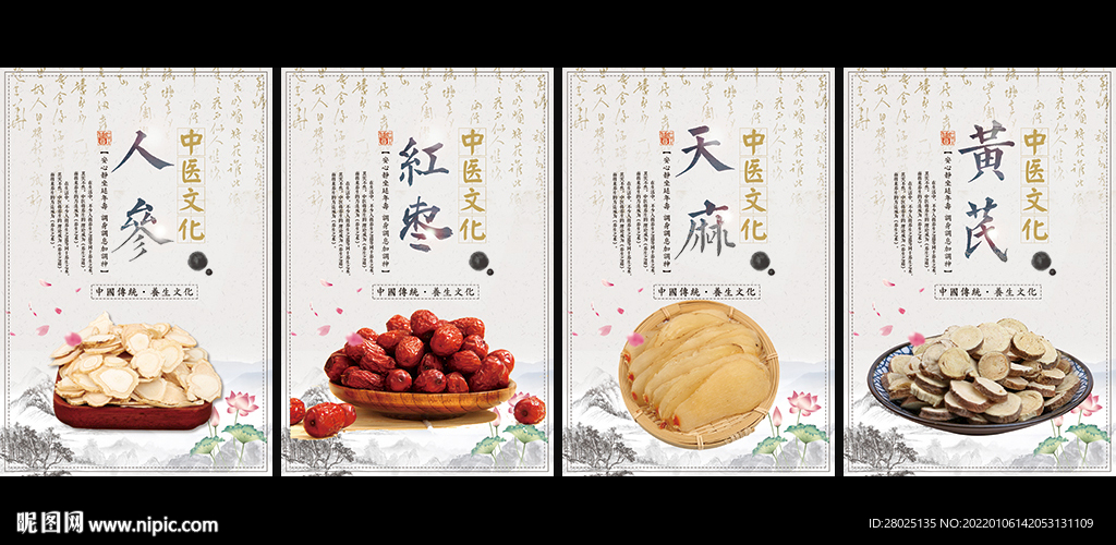 滋补中药挂画