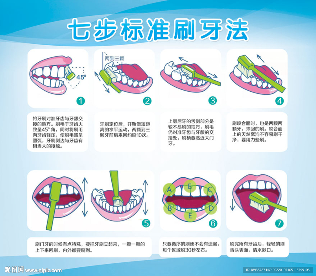 七步标准刷牙法