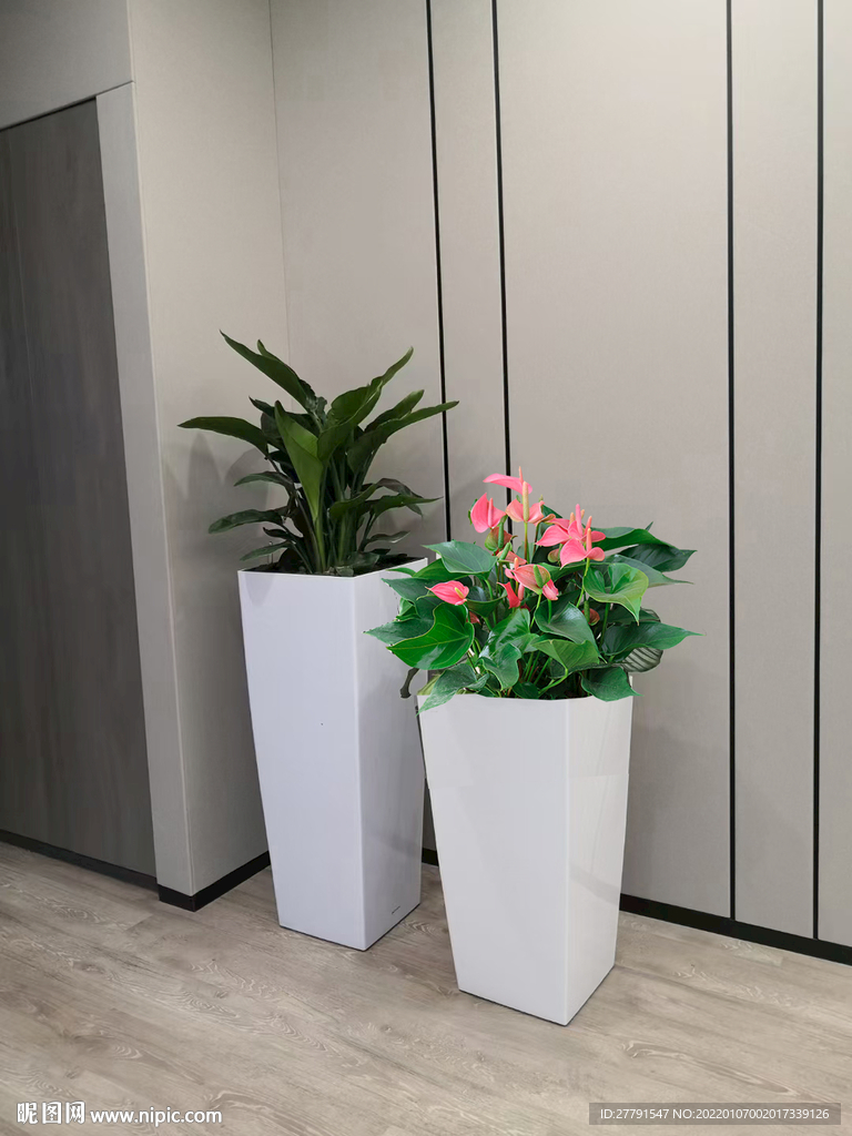 绿植租摆景观设计效果图